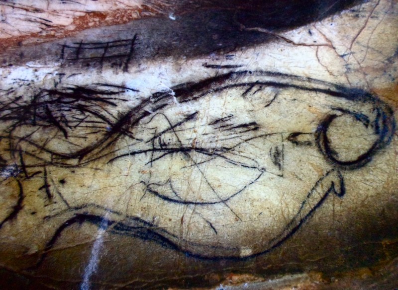 fish 1