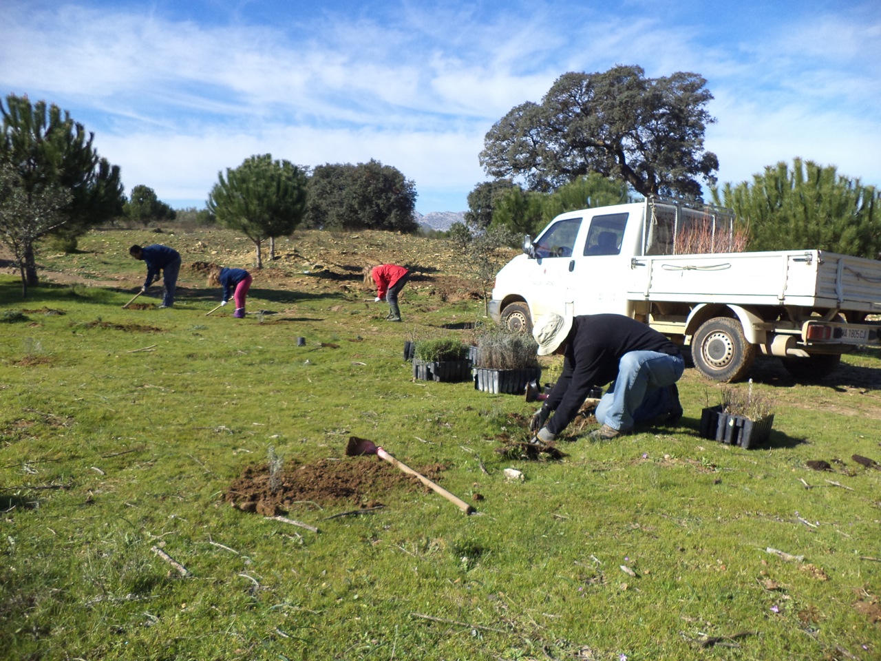 Community Service Snobb Net